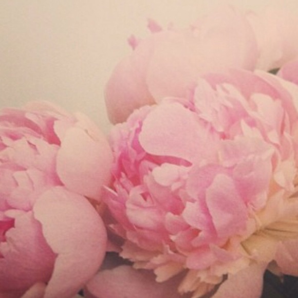 EMMORY PARK FOLK TALES PLAID GINGAM DRESS - Picture 3 of 6